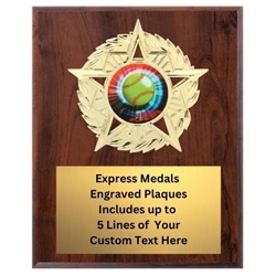 Star Mount Softball Plaque (4 Sizes)