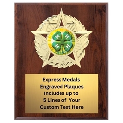 Large Star Mount 4-H Plaque (4 Sizes)