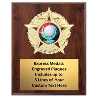 Star Mount Volleyball Plaque (4 Sizes)