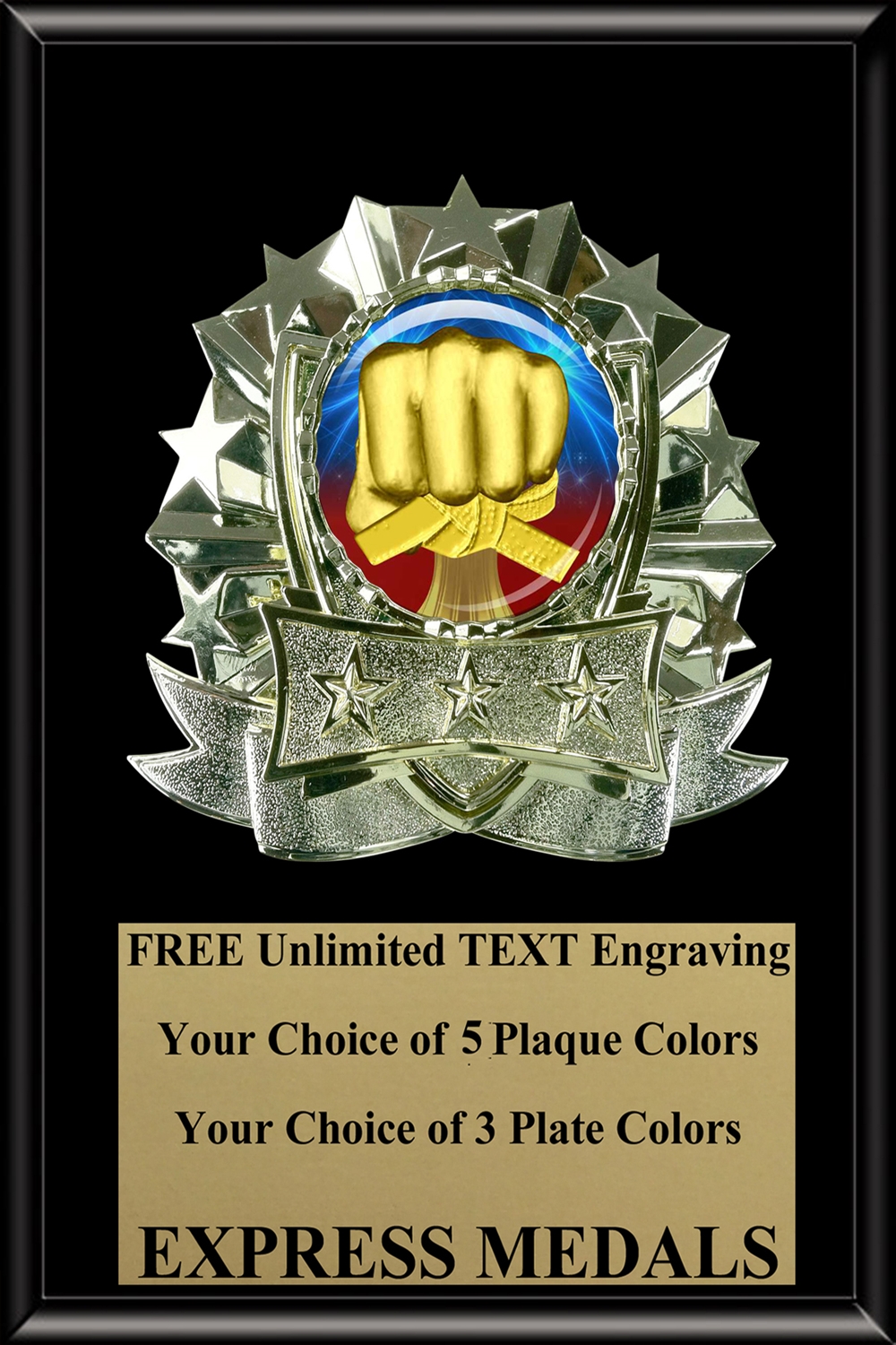 Dome Insert Martial Arts Plaque (4 Sizes)