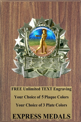 Dome Insert T-Ball Plaque (4 Sizes) PM660-VL