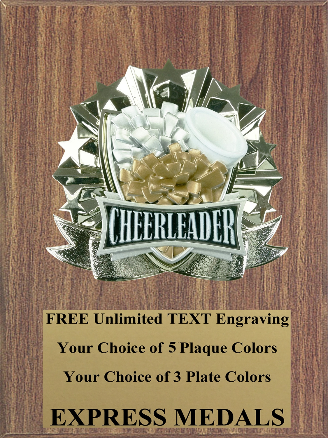 All-Star Cheerleading Plaque (4 Sizes) (PM1265)
