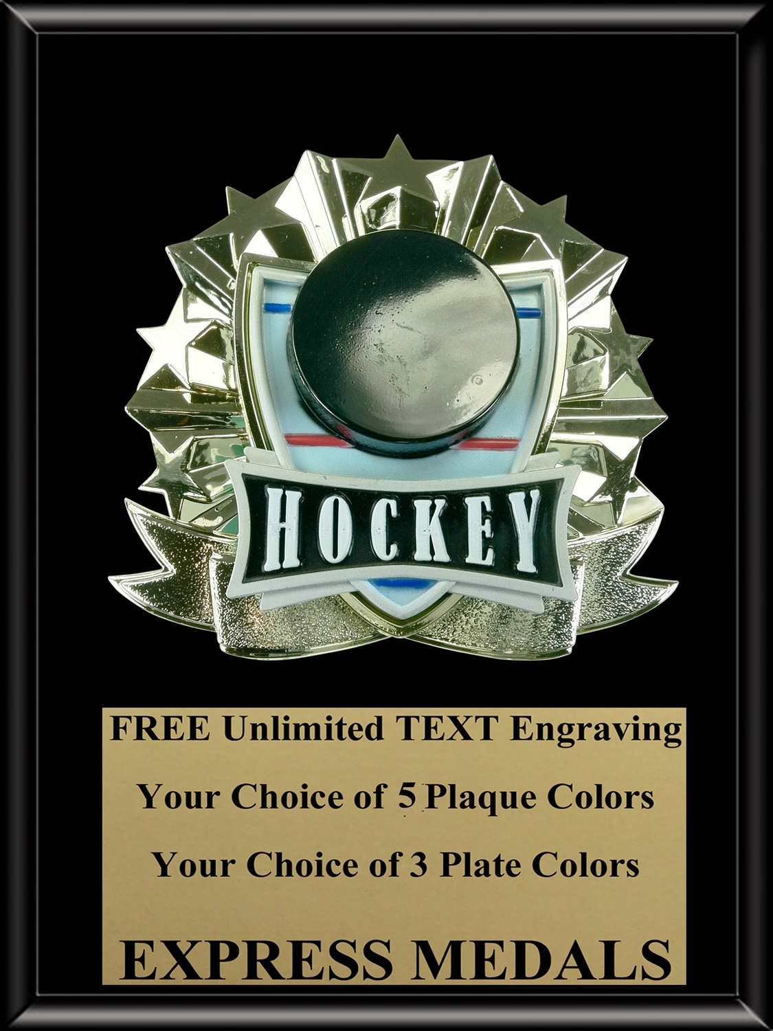 All-Star Hockey Plaque (4 Sizes) (PM1270)