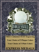 All-Star Volleyball Plaque (4 Sizes) (PM1277)