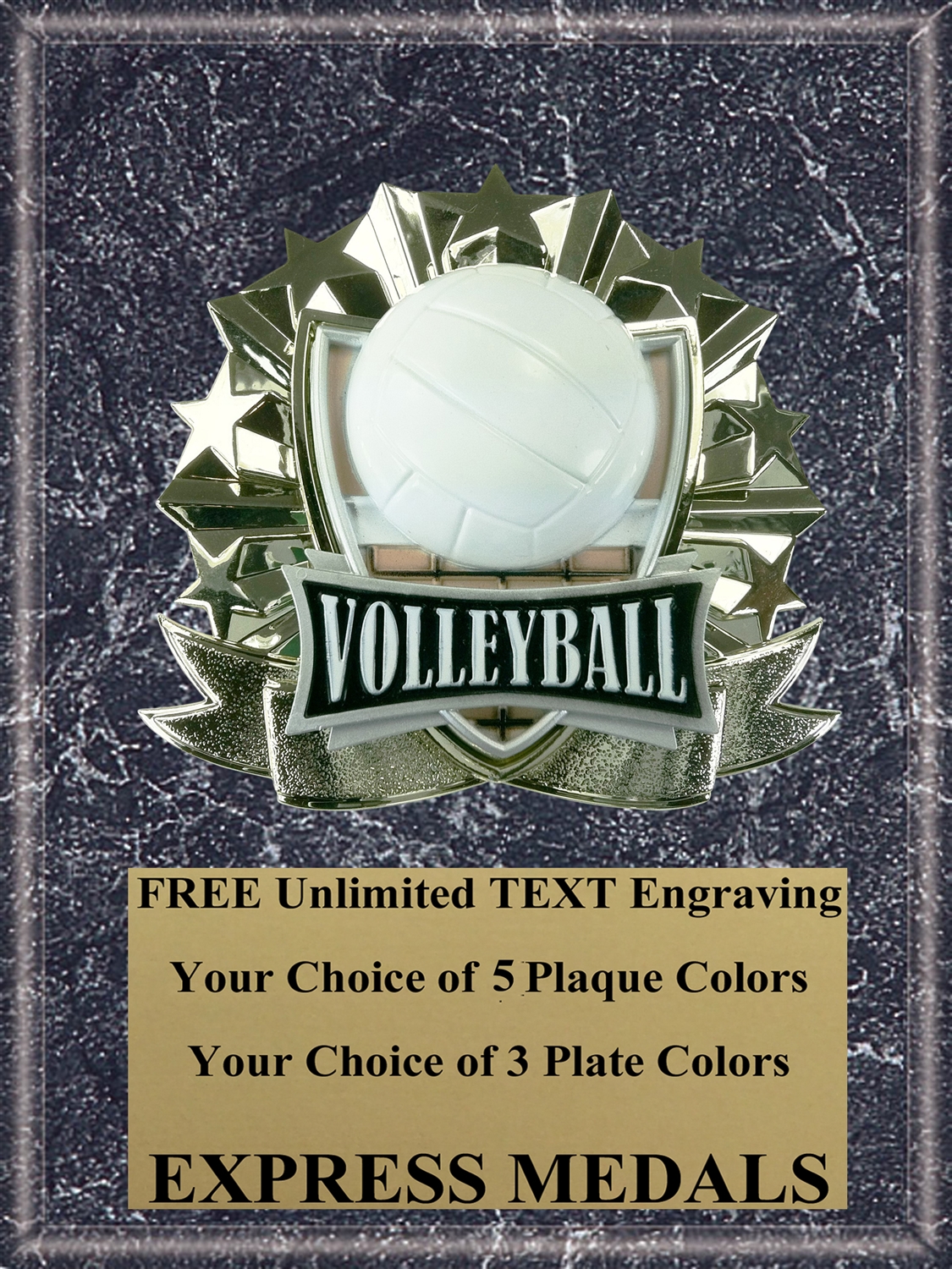 All-Star Volleyball Plaque (4 Sizes) (PM1277)
