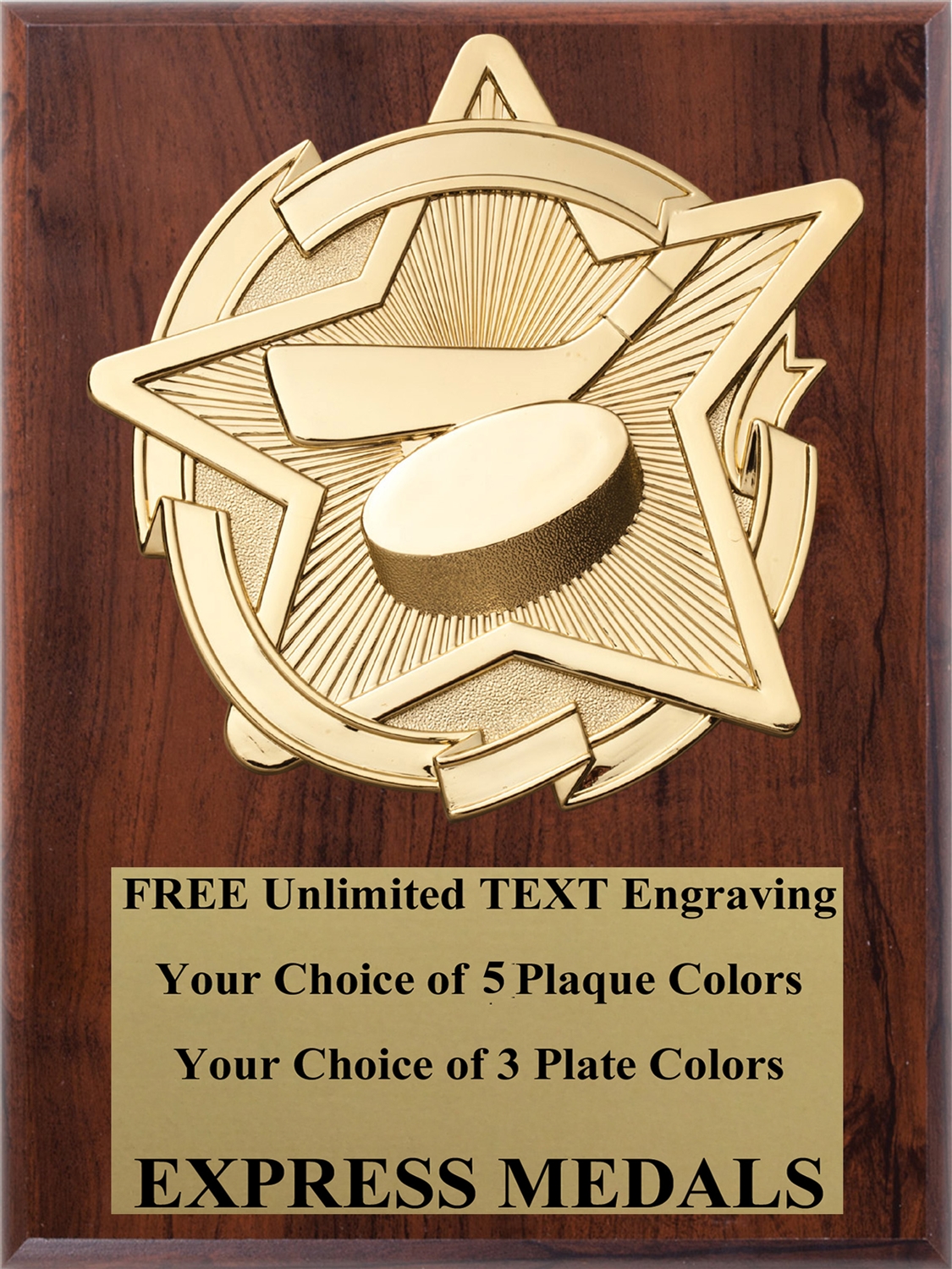 Star Hockey Plaque (4 Sizes)