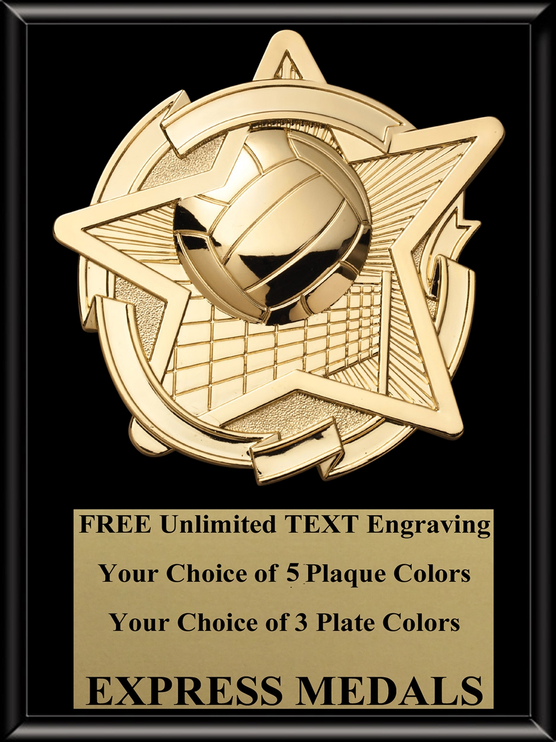 Star Volleyball Plaque (4 Sizes)