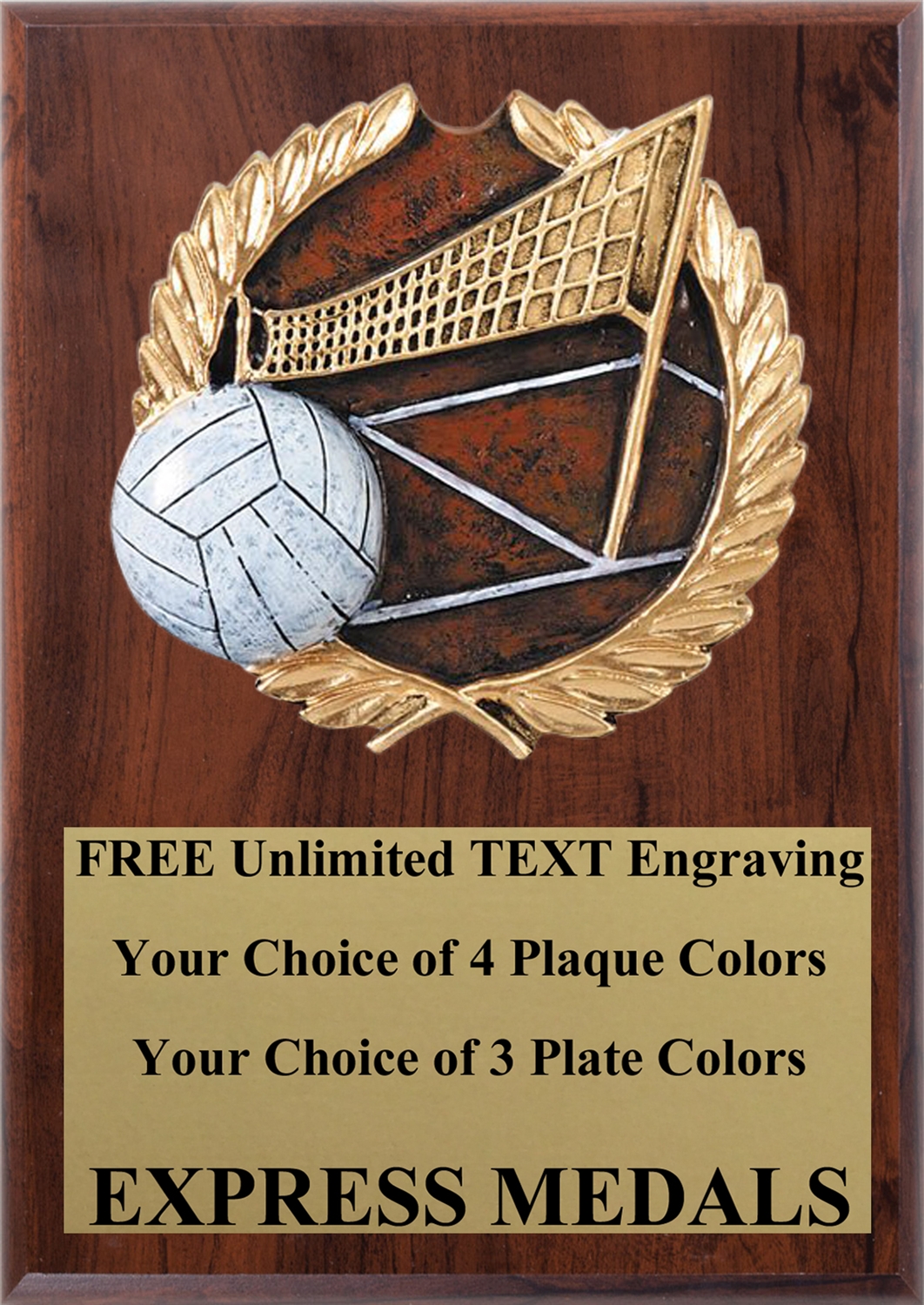 Full Color Volleyball Plaque 4x6 & 5x7 PM658-VL