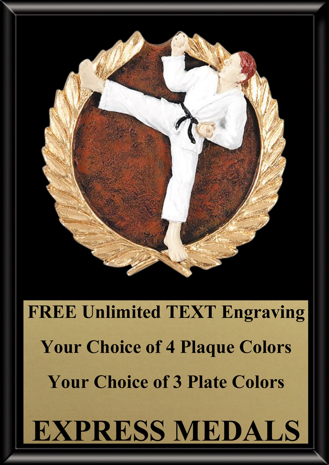 Full Color Martial Arts Karate Plaque 4x6 & 5x7 PM672-VL