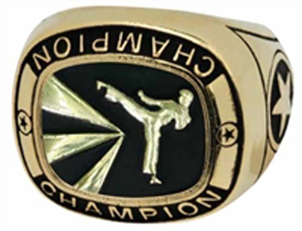 Champion Martial Arts Ring