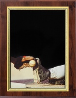 5" x 7" Hi-Def Baseball Plaque (VL57-ZA46BSBL)