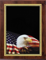 5" x 7" Hi-Def Eagle Plaque VL57-ZA46EAGLE