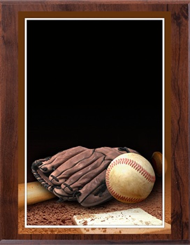 8" x 10" Full Color Baseball Plaque VL810-MP301C