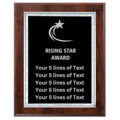 8" x 10" Custom Rising Star Award Plaque