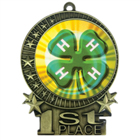 3" 4H Medal