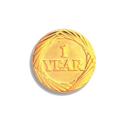 3/4" 1 Year Service Pin Y1