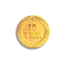 3/4" 10 Year Service Pin Y10