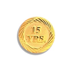 3/4" 15 Year Service Pin Y15